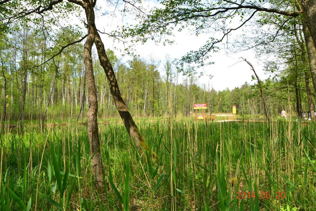 Osrodek Wypoczynkowo-Turystyczny Perla Krutyni Hotel Nowy Most Екстериор снимка