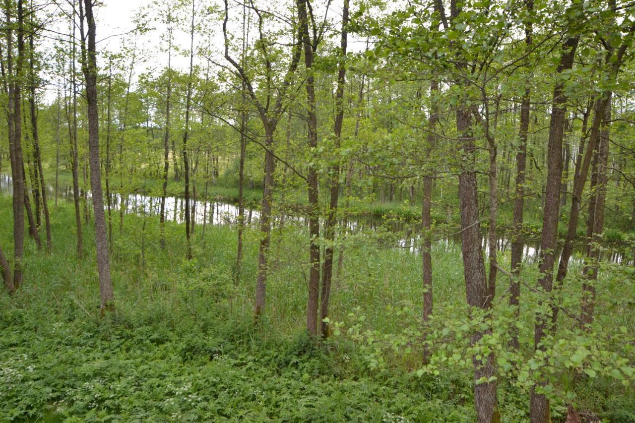 Osrodek Wypoczynkowo-Turystyczny Perla Krutyni Hotel Nowy Most Екстериор снимка